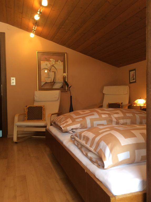 ריית אים אלפבכטל Alpbach Apartments מראה חיצוני תמונה