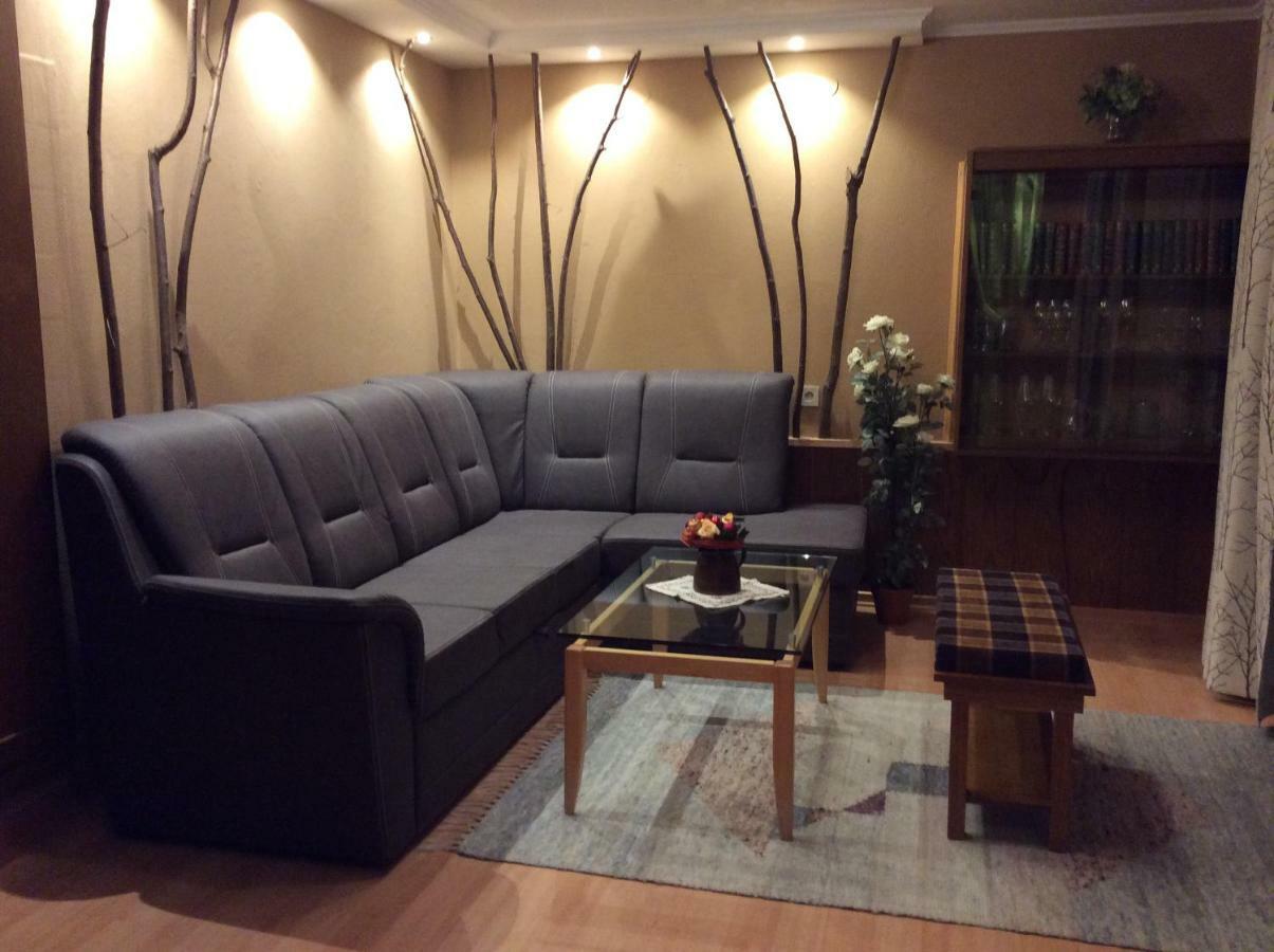 ריית אים אלפבכטל Alpbach Apartments מראה חיצוני תמונה